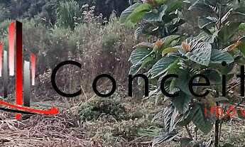 Imagem 2: VENDE CHÁCARA HONÓRIO SERPA