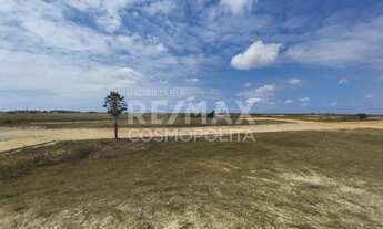 Imagem 5: Lotes à venda no Litoral do Piauí, em Luis Correia, praia do Coqueiro