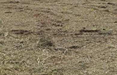 Imagem 3: Terreno à venda, Jardim Tocantins, TOLEDO - PR