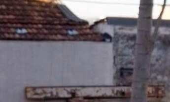 Imagem 7: Casa com 3 dormitórios à venda, Centro, TOLEDO - PR