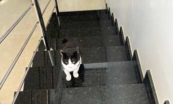 Imagem 4: Sobrado com 4 dormitórios à venda, JARDIM ANAPOLIS, TOLEDO - PR