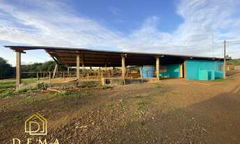 Imagem 3: Chácara com 3 dormitórios à venda, LINHA FLORIANO, TOLEDO - PR