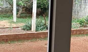 Imagem 3: Casa com 3 dormitórios à venda, SÃO FRANCISCO, TOLEDO - PR