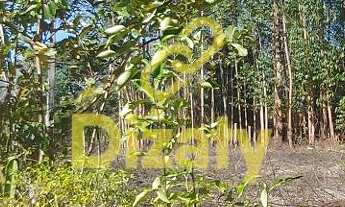 Imagem 6: FAZENDA DE 11 HECTARES COM ÁGUA CASA SEDE COM 03 SUITES