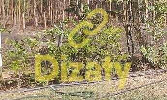 Imagem 7: FAZENDA DE 11 HECTARES COM ÁGUA CASA SEDE COM 03 SUITES