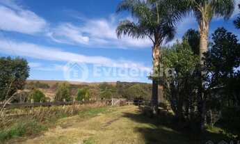 Imagem: EXUBERANTE ÁREA RURAL NA PALMEIRINHA