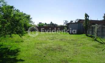 Imagem 3: Imóvel com amplo terreno