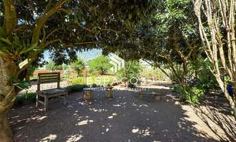 Imagem 4: Sítio a venda localizado aos pés do Morro da Salete em Medianeira PR