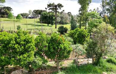 Imagem 7: Chacara a venda proximo ao colegio Agricola, GUARAPUAVA - PR