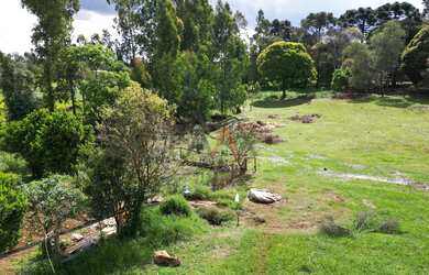 Imagem 6: Chacara a venda proximo ao colegio Agricola, GUARAPUAVA - PR