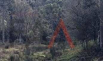 Imagem 2: Chácara à venda com 12,5884 hectares, PALMEIRINHA, GUARAPUAVA - PR