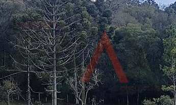 Imagem 3: Chácara à venda com 12,5884 hectares, PALMEIRINHA, GUARAPUAVA - PR