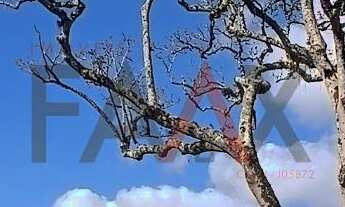 Imagem 4: Chácara à venda com 12,5884 hectares, PALMEIRINHA, GUARAPUAVA - PR