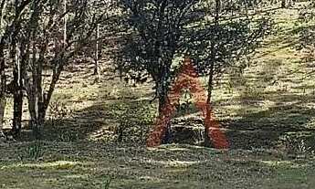 Imagem 6: Chácara à venda com 12,5884 hectares, PALMEIRINHA, GUARAPUAVA - PR