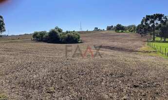 Imagem 3: Chácara com 2,763 alqueires à venda na PALMEIRINHA em GUARAPUAVA - PR