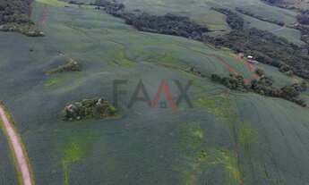 Imagem 4: Excelente área Rural, com 518564.00m , Linha São Paulo, RENASCENCA - PR