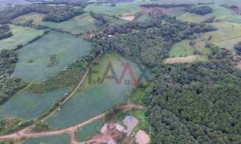 Imagem 7: Excelente área Rural, com 518564.00m , Linha São Paulo, RENASCENCA - PR