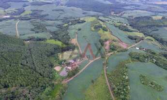 Imagem 3: Excelente área para agricultura com 68132.00m , Linha São Paulo, RENASCENCA - PR