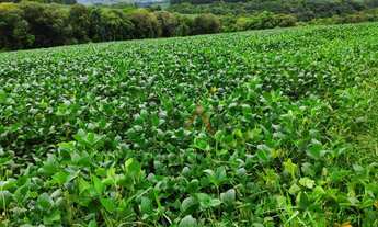 Imagem 3: Fazenda à venda,260000.00m , CAMPINA DO SIQUEIRA, CANDOI - PR