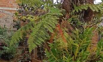Imagem 3: Casa com 3 dormitórios à venda, CONRADINHO, GUARAPUAVA - PR