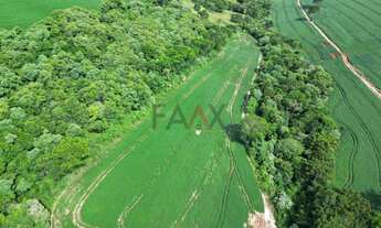 Imagem 1: Àrea de plantio a venda em PITANGA - PR, 12ha sendo 10ha de plantio