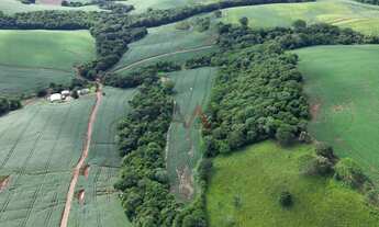 Imagem 7: Àrea de plantio a venda em PITANGA - PR, 12ha sendo 10ha de plantio