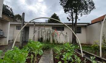 Imagem 7: Kitinet para locação, CENTRO - Gpva, GUARAPUAVA - PR