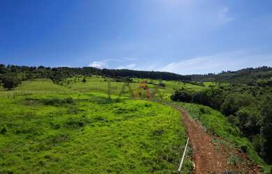 Imagem 5: Chacara Descompressão FAAX Imóveis no Alagado de Reserva do Iguaçu