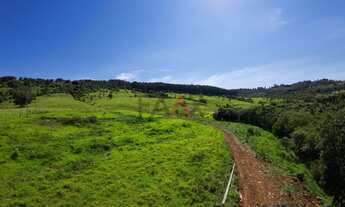 Imagem 5: Chacara Descompressão FAAX Imóveis no Alagado de Reserva do Iguaçu