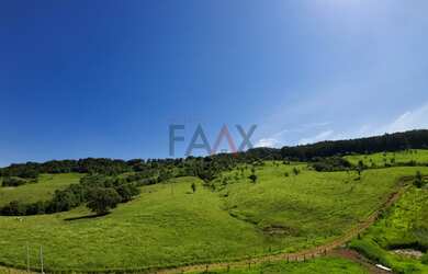 Imagem 6: Chacara Descompressão FAAX Imóveis no Alagado de Reserva do Iguaçu