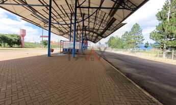 Imagem 3: Terreno Comercial à venda de Frente ao trevo da BR 277 em Guarapuava - PR