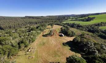 Imagem 2: Sítio à venda com excelentes 24,62ha de área em Guarpuava PR