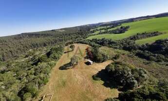 Imagem 3: Sítio à venda com excelentes 24,62ha de área em Guarpuava PR