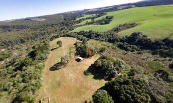 Imagem 4: Sítio à venda com excelentes 24,62ha de área em Guarpuava PR