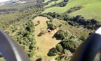 Imagem 6: Sítio à venda com excelentes 24,62ha de área em Guarpuava PR