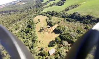 Imagem 7: Sítio à venda com excelentes 24,62ha de área em Guarpuava PR