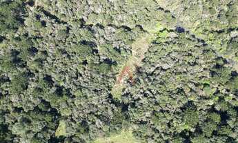 Imagem 2: Área rural à venda proximo ao hopy valley com rio em Guarapuava - PR