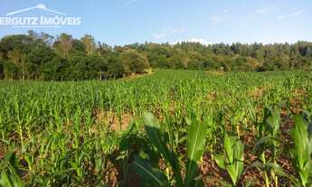 Imagem: CHÁCARA BAIRRO LINHA SÃO JOÃO