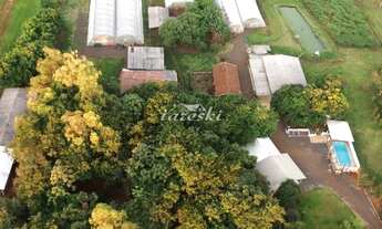 Imagem: Chácara com 2 alqueires com casa para venda