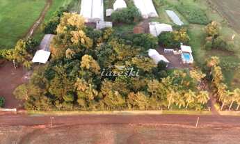 Imagem 2: Chácara com 2 alqueires com casa para venda na estrada são braz, MEDIANEIRA - PR