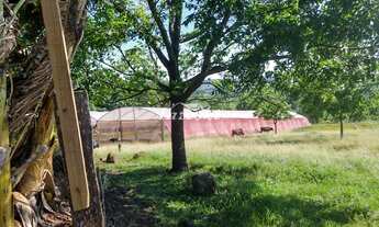 Imagem 5: Chácara com 2 alqueires com casa para venda na estrada são braz, MEDIANEIRA - PR