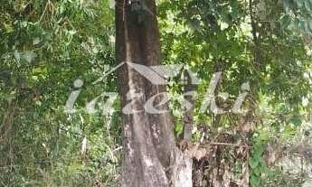 Imagem 3: Terreno com 511m à venda na Vila Carimã em Foz do Iguaçu - PR