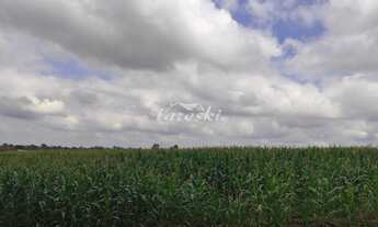 Imagem 2: Amplo terreno com 41.727,50m de área, na Região da Mata Verde, acesso direto a Avenida Ma