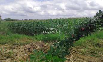 Imagem 4: Amplo terreno com 41.727,50m de área, na Região da Mata Verde, acesso direto a Avenida Ma