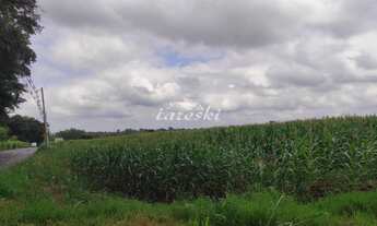 Imagem 5: Amplo terreno com 41.727,50m de área, na Região da Mata Verde, acesso direto a Avenida Ma