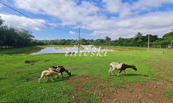 Imagem 1: Chácara à venda, Linha Cotiporã em São Miguel do Iguaçu - PR