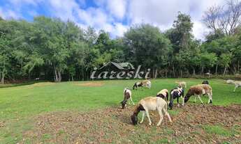 Imagem 2: Chácara à venda, Linha Cotiporã em São Miguel do Iguaçu - PR