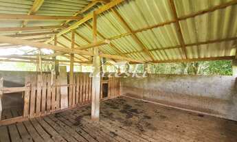 Imagem 3: Chácara à venda, Linha Cotiporã em São Miguel do Iguaçu - PR