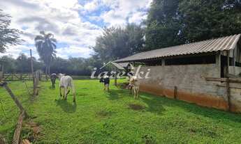 Imagem 4: Chácara à venda, Linha Cotiporã em São Miguel do Iguaçu - PR
