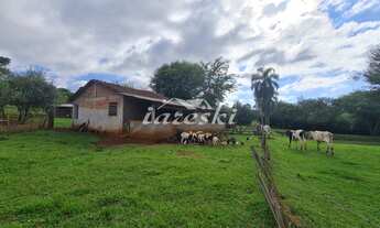 Imagem 5: Chácara à venda, Linha Cotiporã em São Miguel do Iguaçu - PR